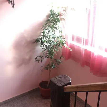 Buhlevata Vodenitsa Hotel