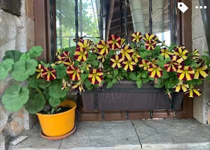 Buhlevata Vodenitsa Hotel Burgas City